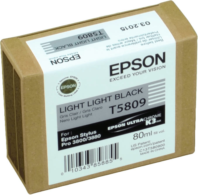 Epson Tinte C13T580900 photo grau